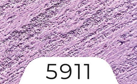цвят