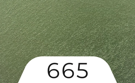 цвят